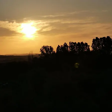 Sunny Near Cacao アパート サニービーチ