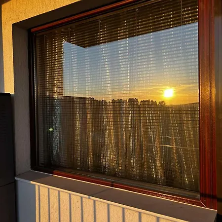 Sunny Near Cacao * サニービーチ